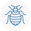 Bed Bug Extermination In Loanhead